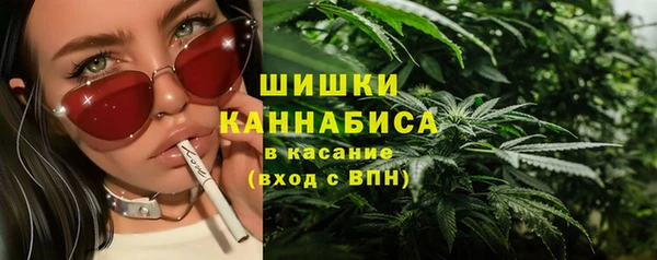 молекула духа Зеленодольск